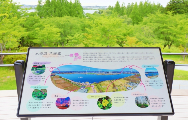 案内板